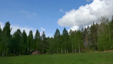 Meadow by forest edge with small rustic cabin under blue sky. Stock-Footage 318196230