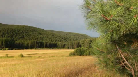 Meadow forest mountains nature Video stock 8994533