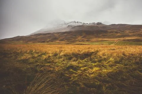 Meadow in front of a empty mountain range with fog and snow. Lovely landsca.. Foto stock