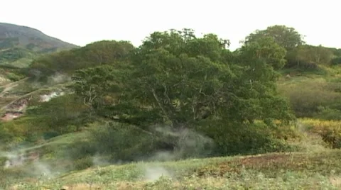 Meadow with geysers Stock-Footage 8760371