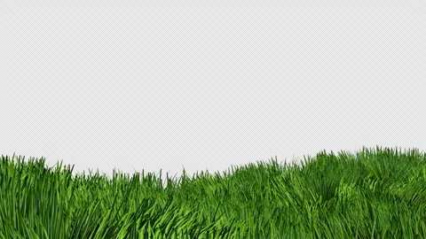 Meadow Grass Background Stock-Footage 272942812