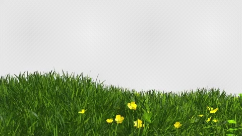Meadow Grass Background 스톡 동영상 272943933