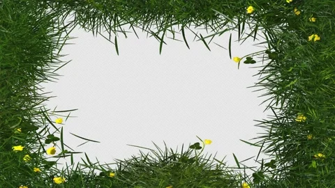 Meadow Grass Frame Stock-Footage 272943030