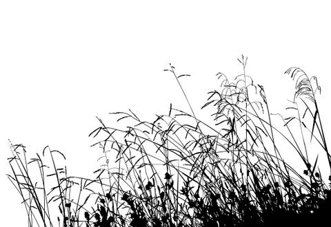 Meadow Grass Silhouette Stockillustratie