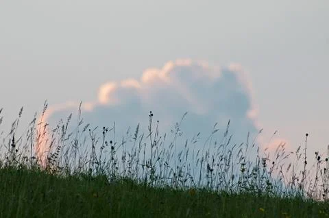 Meadow grass with sunlit clouds in the background Stock Photos
