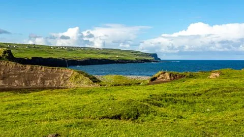 Meadow with green grass next to Doolin bay with the cliff in the background Stock Photos