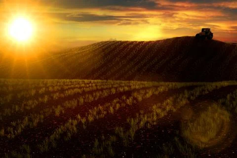 Meadow with growing wheat or vegetables and tractor on horizon Stock Illustration