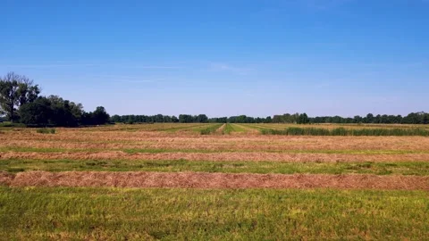 A meadow with hay in summer Stock Footage 324813903