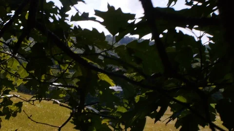 Meadow on a hill Stock Footage 99117304