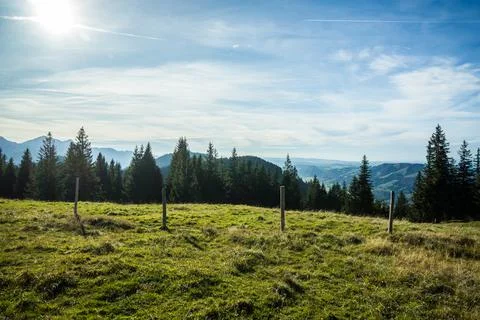 Meadow on hill with forest Stock Photos