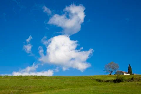 Meadow on a hill Stock Photos