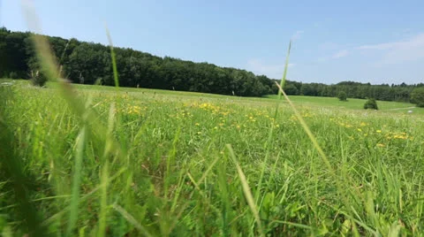 Meadow in hilly landscape Stock Footage 25812243