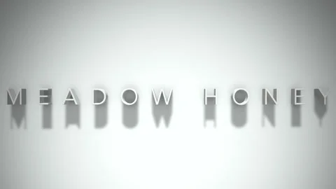 Meadow honey 3D title animation with shadows on a white background Stock Footage 297904181
