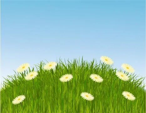 Meadow Stock Illustration