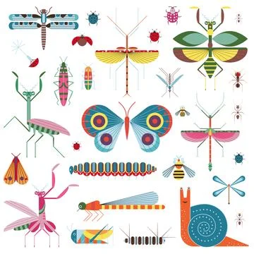 Meadow Insects and Geometric Bugs Icon Set Stock Illustration