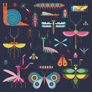 Meadow Insects and Geometric Bugs Icon Set Stock Illustration