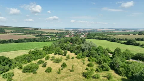 Meadow juniper orchids and old fruit trees, village blue sky and clouds Video stock 249742212