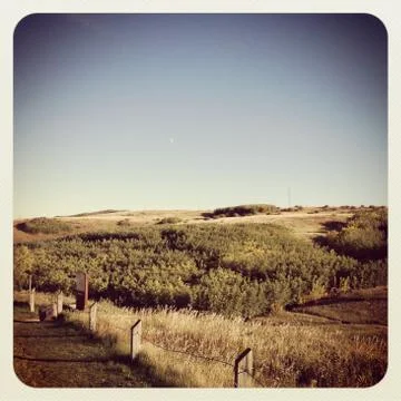 Meadow landscape Fotos Stock