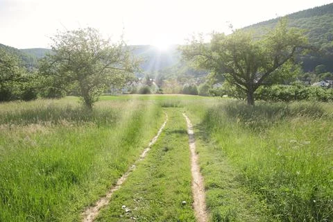 Meadow landscape Stock-Fotos