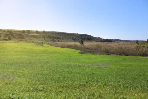The meadow landscape with soft light Stock-Fotos