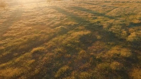 Meadow landscape at sunset with cyclists Video stock 76190537