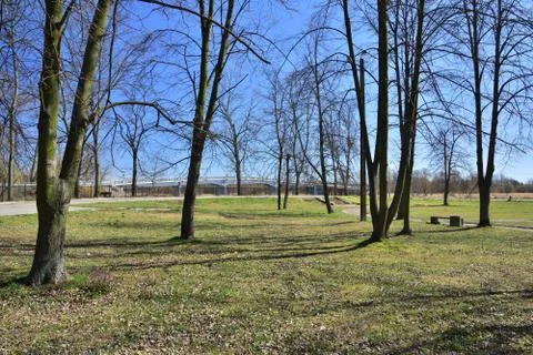 Meadow, lawn and trees on a cloudless day, with a bridge in the background. Stock Photos