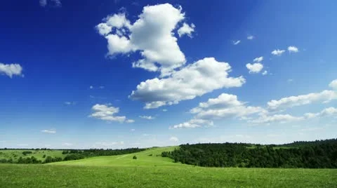 Meadow. Motion clouds. Stock Footage 11234803