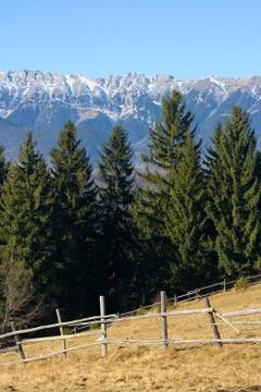 Meadow on the mountain Stock-Fotos