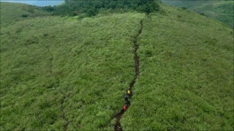 Meadow in the mountains Stock Footage 316694057