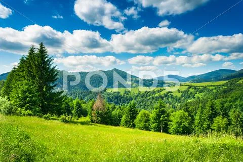 Meadow in mountains Stock Photos