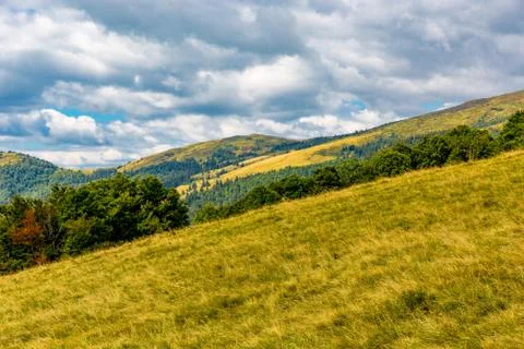 Meadow in mountains Stock Photos