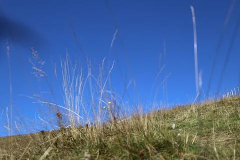 Meadow in mountains Stock Photos