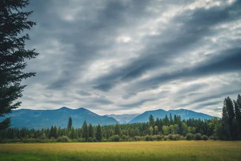 Meadow on an overcast day. Foto stock