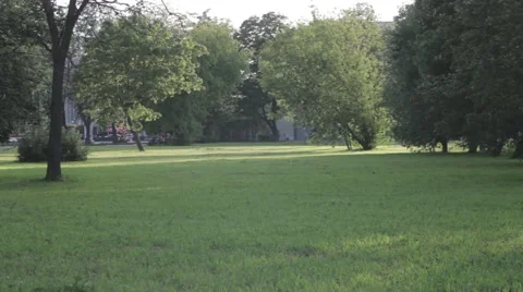 Meadow , park , sunset 스톡 동영상 52580971