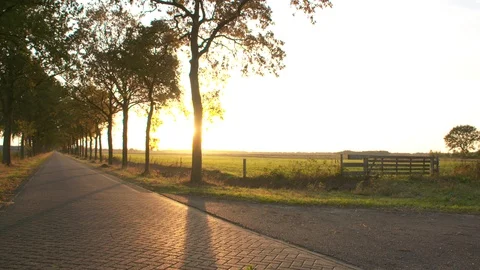 Meadow with a path and trees. 스톡 동영상 128579331
