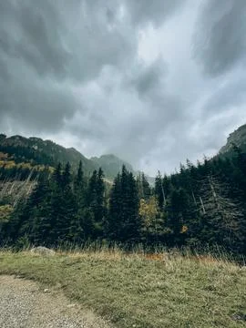 Meadow Path Leading Toward Forest and Mountains Stock Photos