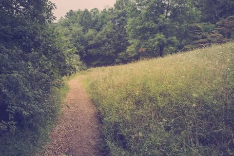 Meadow Path Stock Photos