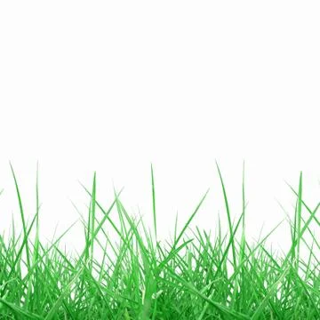 Meadow Stock Photos