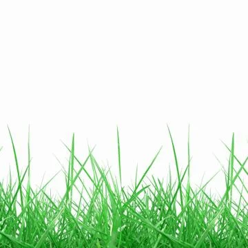 Meadow Stock Photos