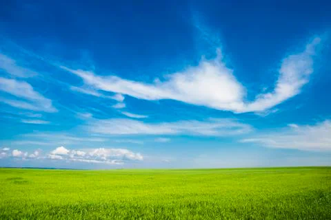 Meadow Stock Photos