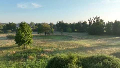 Meadow plain floodplain drone aerial Plane loucky fog morning over nature Stock Footage 296700095