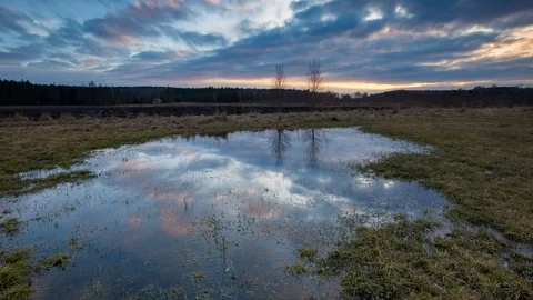 Meadow with puddle in early spring, polish landscape with distant house under su Stock Footage 87272602