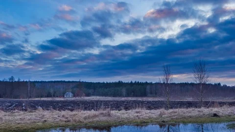 Meadow with puddle in early spring, polish landscape with distant house under su Stock Footage 87308292