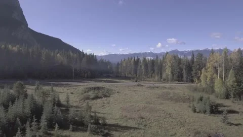 Meadow pull back to reveal forest mountains 스톡 동영상 206547905