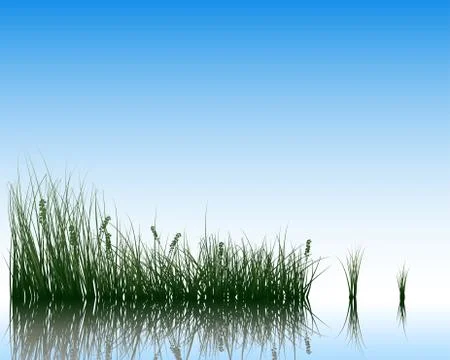 Meadow with reflection 스톡 일러스트