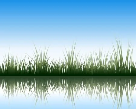 Meadow with reflection Stock Illustration