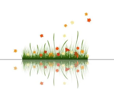 Meadow with reflection Stock Illustration