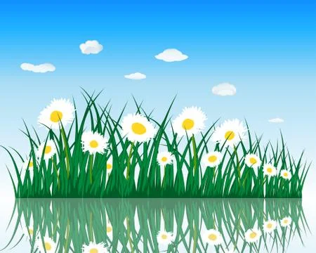 Meadow with reflection Stock Illustration