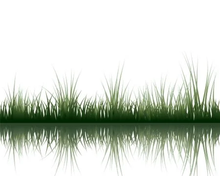 Meadow with reflection Stock Illustration