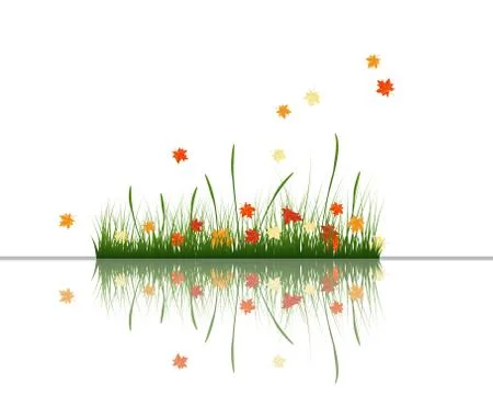 Meadow with reflection Stock Illustration